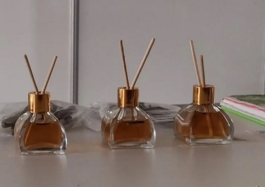 Estudantes baianas desenvolvem aromatizador natural contra muriçocas
