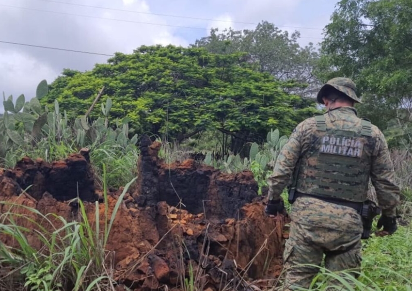 Operação conjunta descobre fornos ilegais de carvão em Paramirim