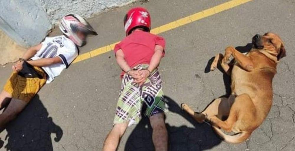 Cachorro se joga no chão ao ver os suspeitos deitados durante a revista