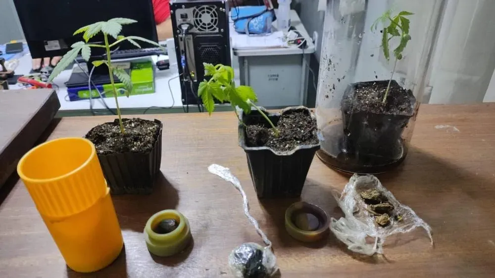 Polícia Rodoviária apreende maconha com engenheiro agrônomo na BA-026, em Tanhaçu