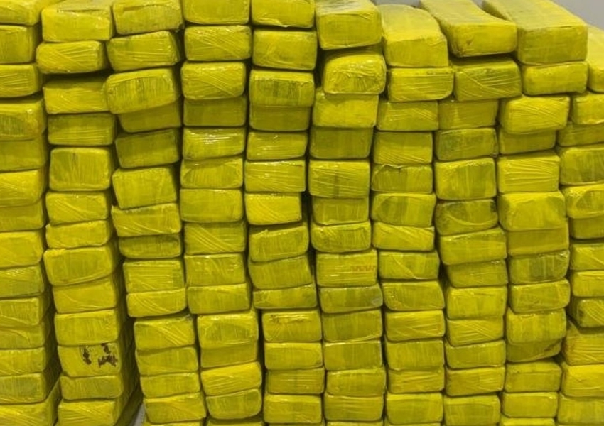 Polícia Militar apreende 130 quilos de maconha em Serrinha