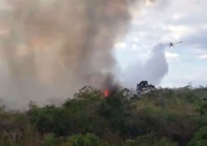 Incêndio atinge vegetação em Ibicoara, na Chapada Diamantina