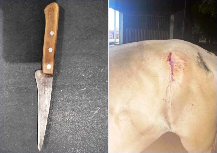 Homem é preso após ameaçar idoso e ferir cavalo em Caetité