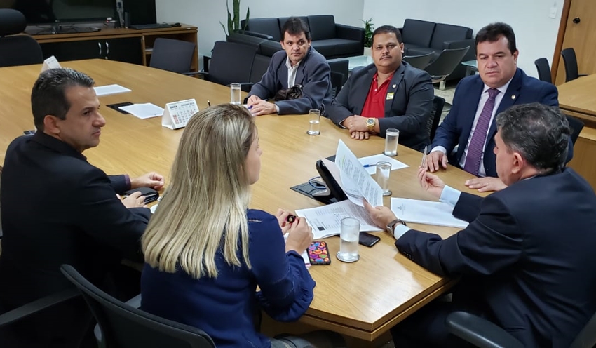 Deputado Marquinho Viana leva prefeitos da Região Sudoeste para audiência em Brasilia