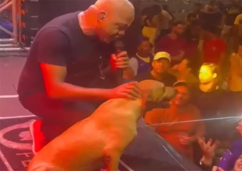 Cachorro de rua rouba a cena durante show de Sinho Ferrary em festa de aniversário de Brumado