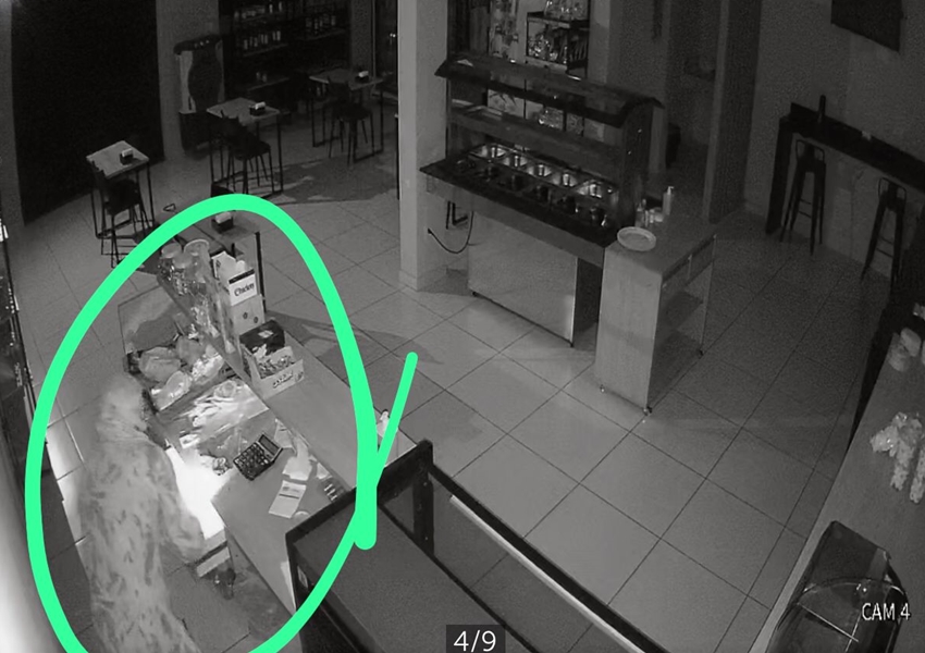 Encapuzado, homem furta estabelecimento comercial em Livramento de Nossa Senhora