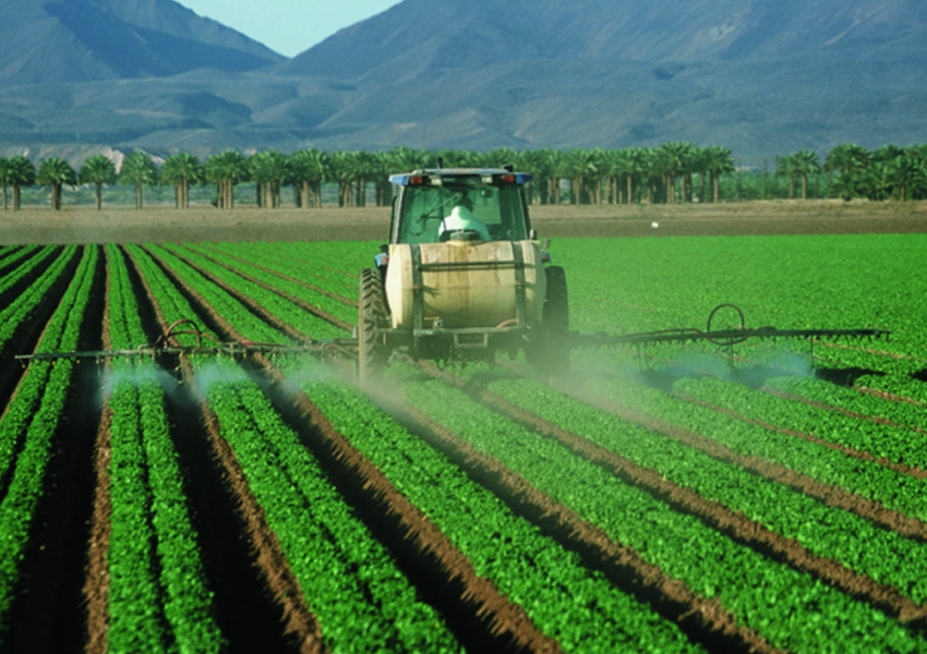 Bahia tem o maior crescimento da área agrícola no Nordeste