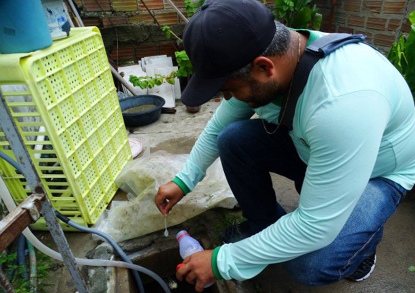 Casos de chikungunya crescem 434% na Bahia entre 2019 e 2020, aponta Sesab