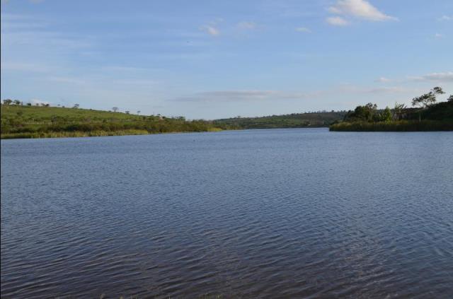 Banhistas relatam possível ataque de piranhas na Barragem de Morrinhos, em Poções