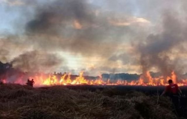 Mata de São João: Bombeiros fazem rescaldo na APA em PF que foi atingida por incêndio