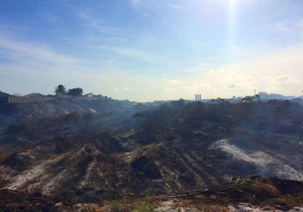 Estado registrou 425 incêndios em matas apenas em janeiro