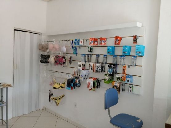 Galeria da notícia