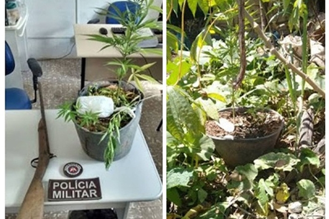Polícia Militar apreende arma e droga na zona rural de Piatã