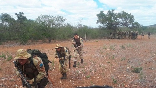 Polícia localiza plantação com cerca de 200 mil pés de maconha na Bahia