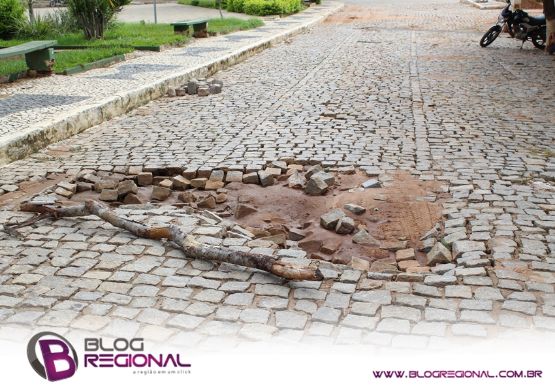 Galeria da notícia