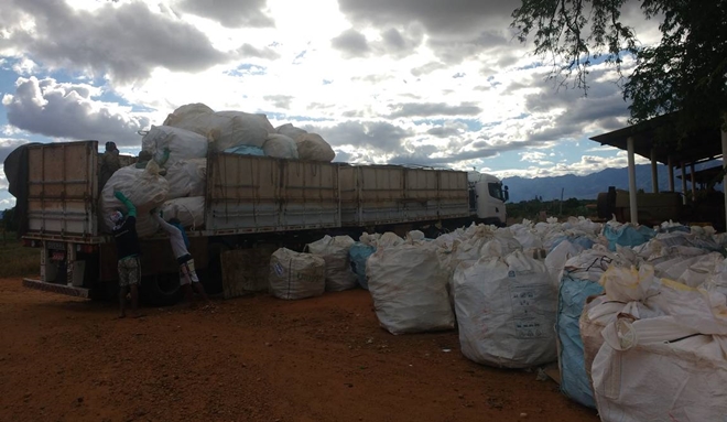 Cerca de 50 mil embalagens de agrotóxicos são devolvidas