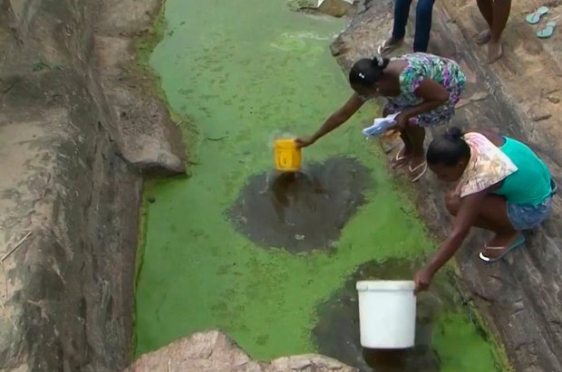 Feira de Santana: Seca faz população beber e usar água quase verde