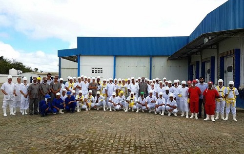 Frigorífico de Amargosa começa abate de jumentos para exportação