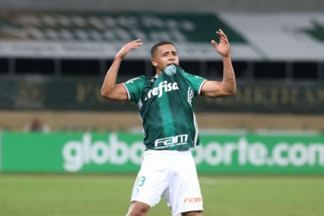 Palmeiras domina o Brasileiro em quase todos os quesitos