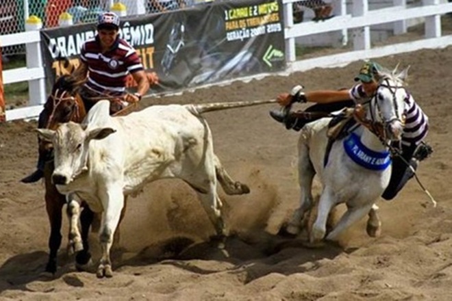 Janot vai ao STF para derrubar leis que permitem vaquejadas na Bahia e em outros estados