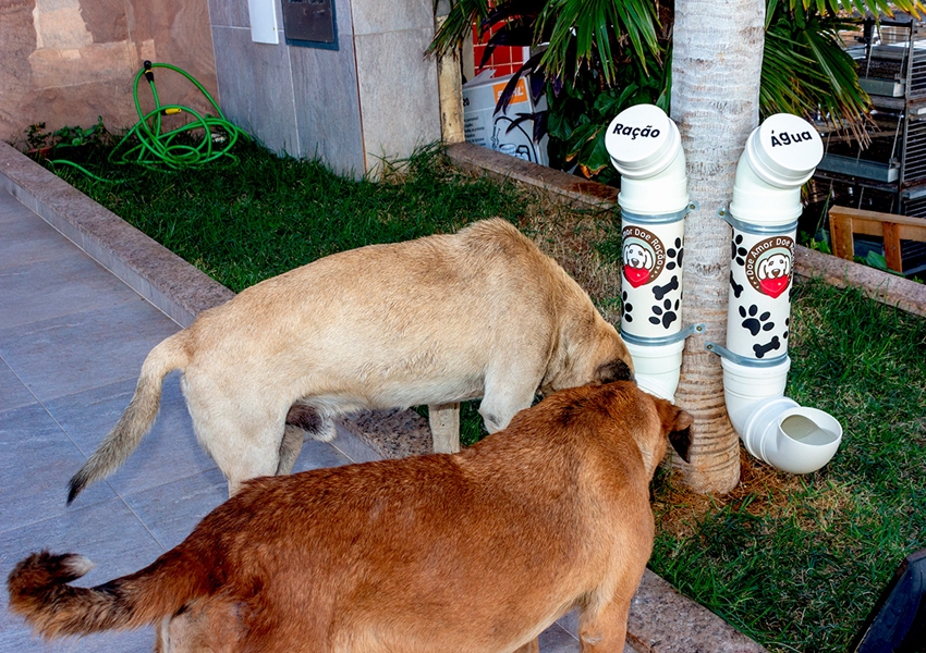 Paramirim: Avenida Botuporã ganha bebedouro e comedouro para cães