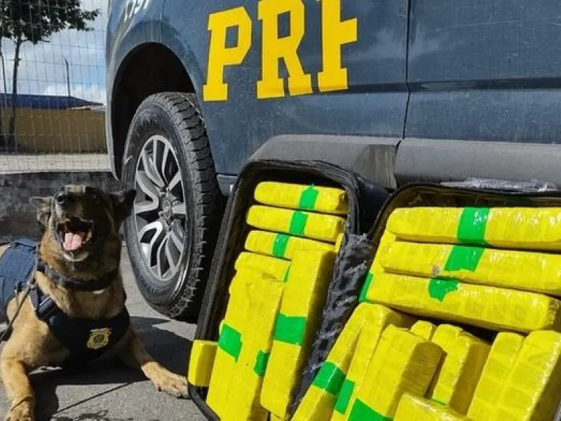 PRF apreende 22,7 kg de maconha em ônibus de viagem em Vitória da Conquista