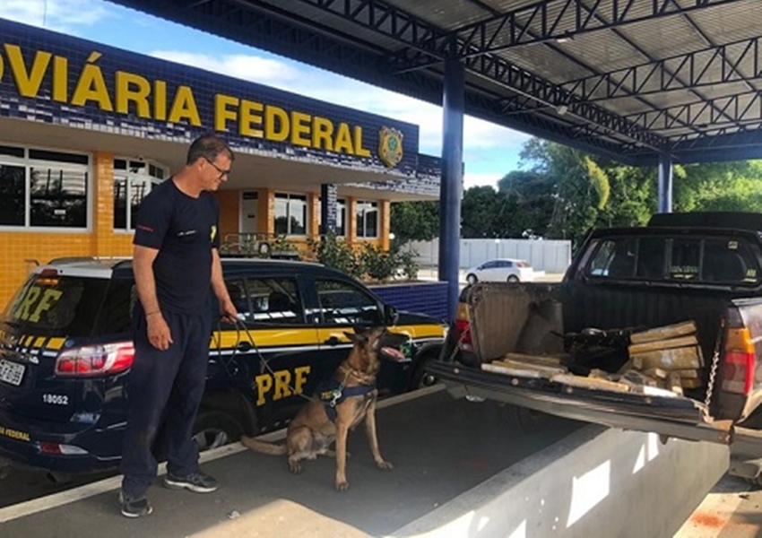 Com ajuda de cão farejador, PRF apreende 65 Kg de maconha em Vitória da Conquista