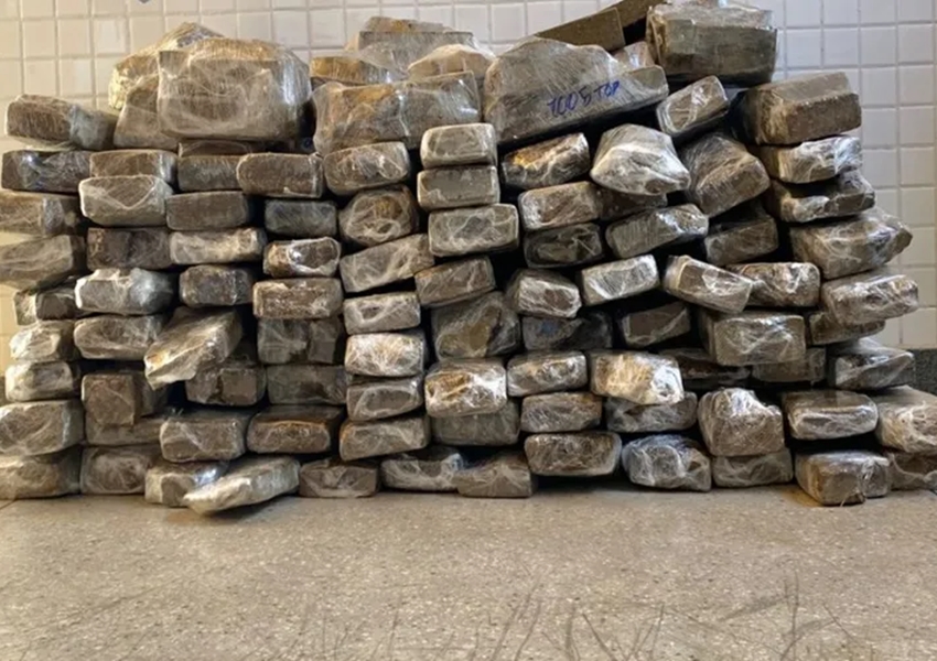 Polícia Militar apreende 100 kg de maconha durante Operação Força Total na Bahia