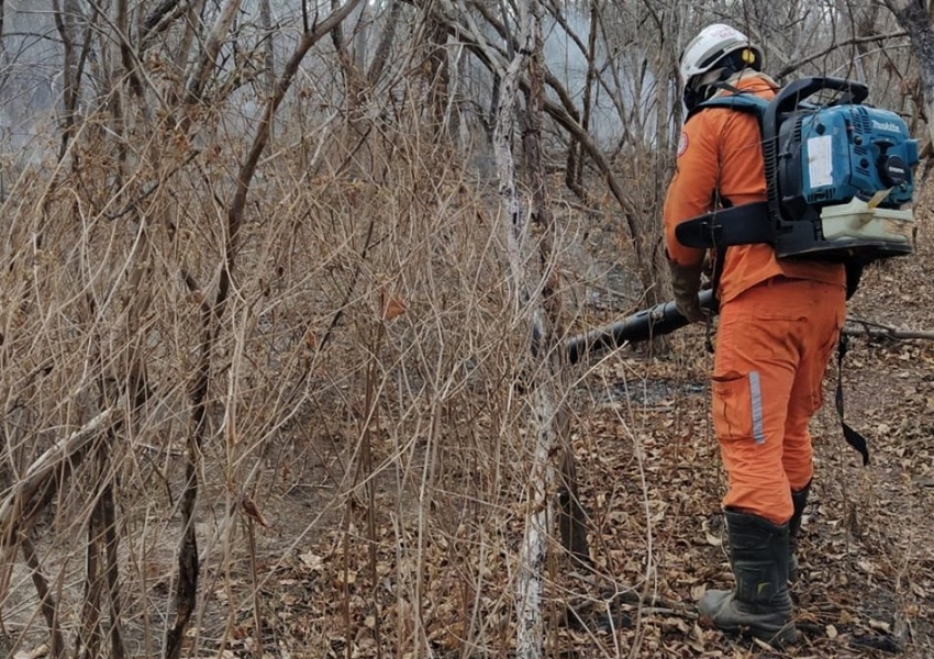 Bombeiros combatem incêndios florestais em seis municípios baianos