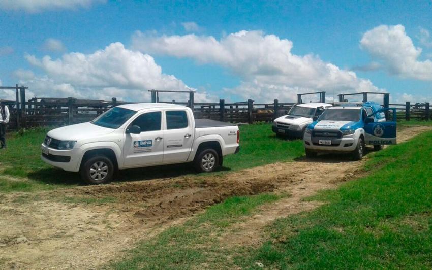 Polícia apreende 2,5 toneladas de carne e suspeita que gado foi alvo de roubo na Bahia