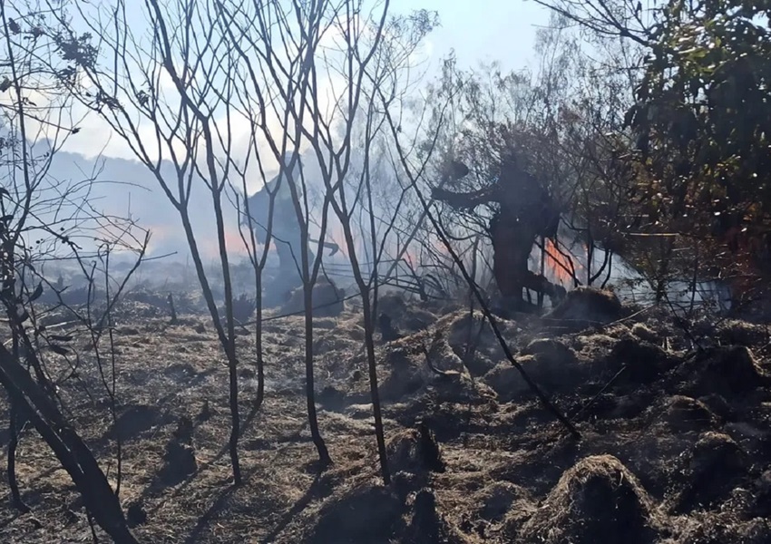 Incêndio de grandes proporções na Chapada Diamantina é controlado