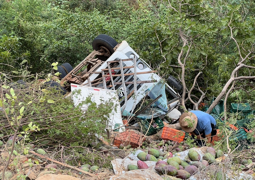 Caminhão carregado com mangas se envolve em acidente na BA-148