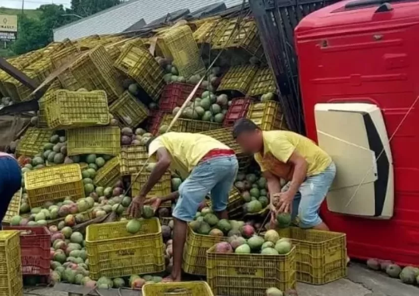 Caminhão carregado de mangas tomba na BR-101 em Laje; carga é saqueada por populares