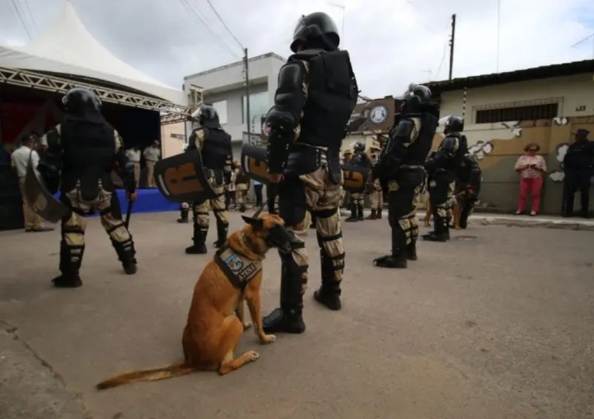 Polícia reforça combate ao crime organizado no Baixo Sul da Bahia