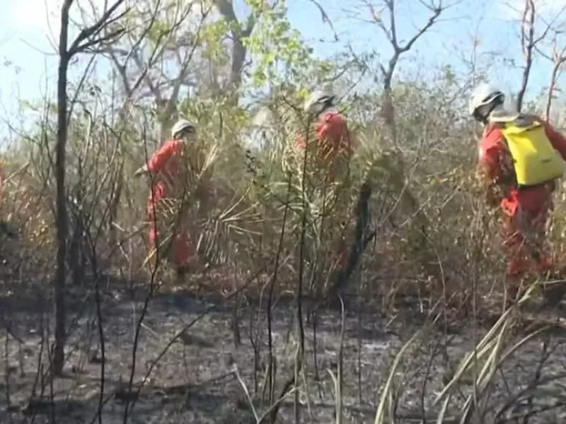 Bombeiros lutam há mais de um mês contra incêndio na Serra do Cipó, oeste da Bahia