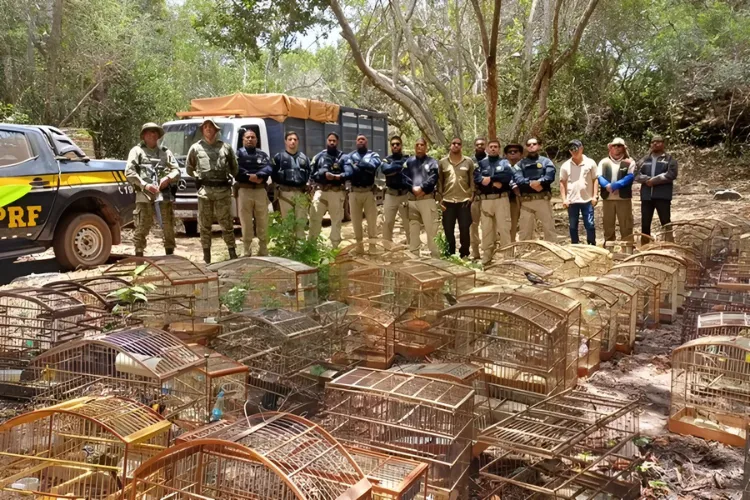 PRF realiza Operação Rotas da Fauna e resgata 965 animais na Chapada Diamantina