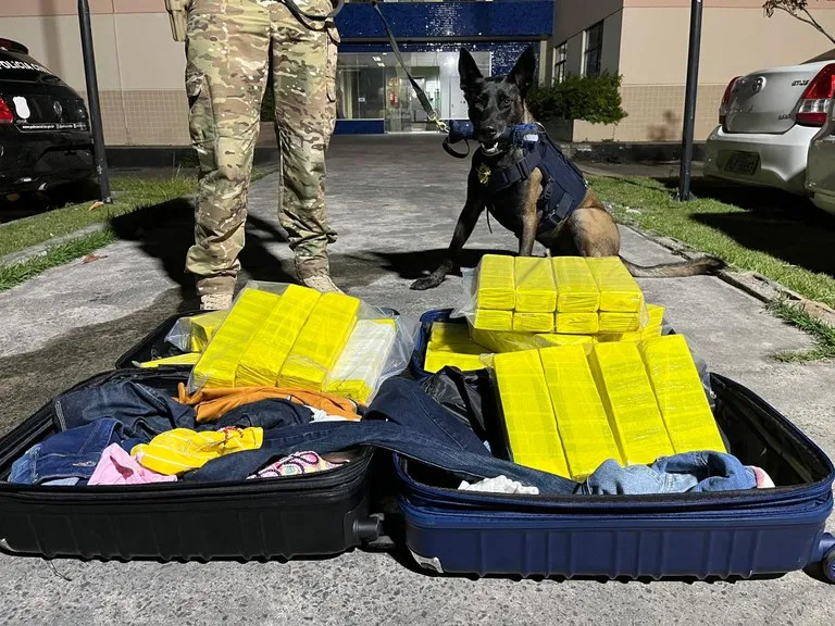 PRF apreende mais de 50 kg de maconha em ônibus de turismo em Feira de Santana