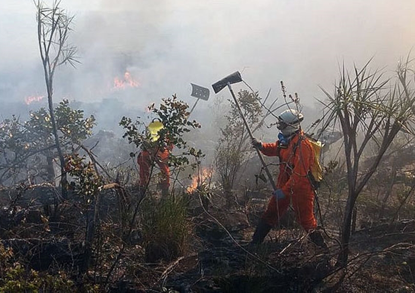 Chapada Diamantina: Incêndio na Serra do Tromba é controlado após 5 dias