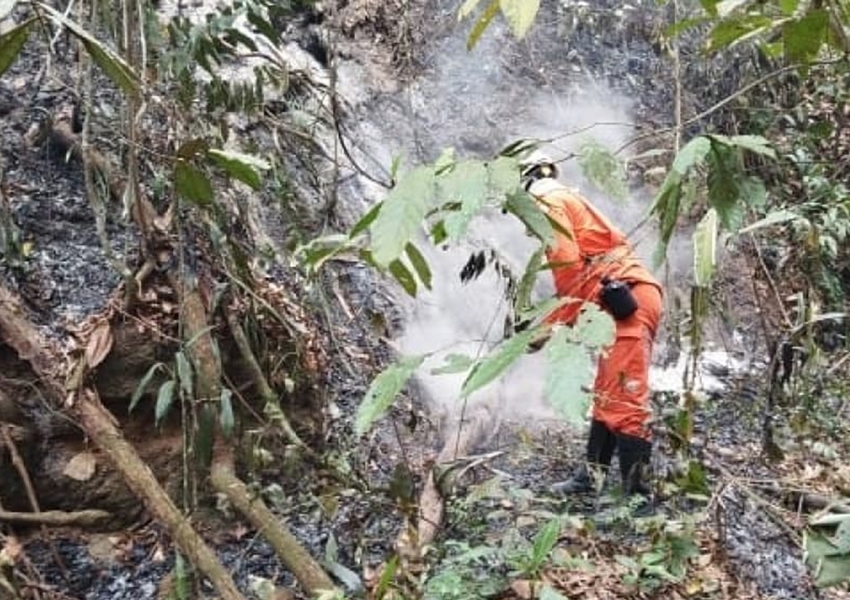 Incêndios florestais assolam o interior da Bahia