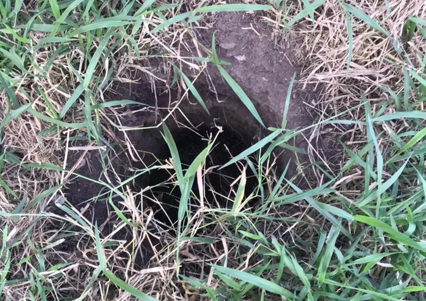 Bebê é encontrado vivo depois de passar dois dias dentro de buraco em Santo Estevão; mãe foi presa por abandono de incapaz