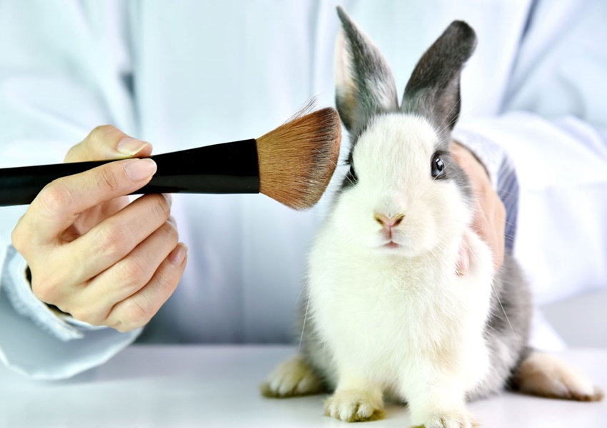 Governo proíbe uso de animais em testes de cosméticos e perfumes no Brasil