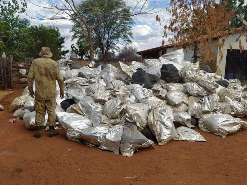 Atuação da PM contra criminalidade resulta em apreensão de oito toneladas de drogas no Oeste da Bahia