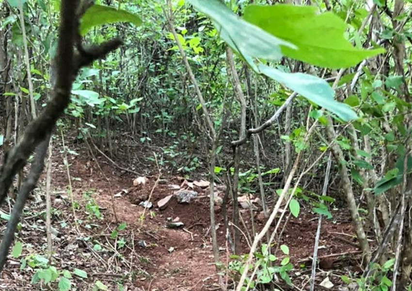 Casal é encontrado morto na Chapada Diamantina após passeio de cavalo