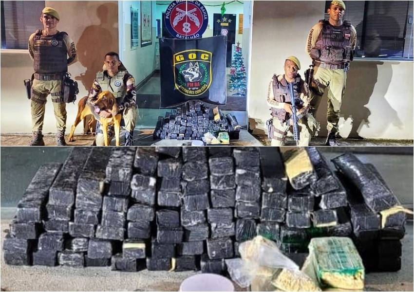 Porto Seguro: Cadela policial encontra dupla com 93 tabletes de drogas