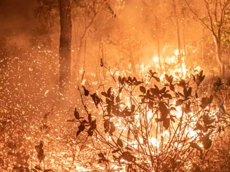 Delegado da PF diz que há indícios de ação coordenada em incêndios