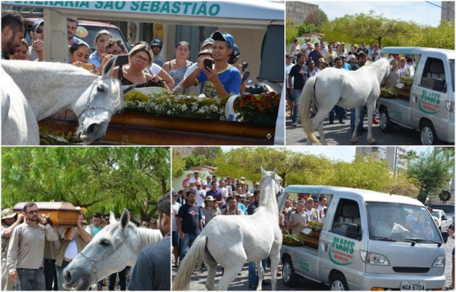 Cavalo se despede do dono com gesto inesperado em velório e surpreende a todos